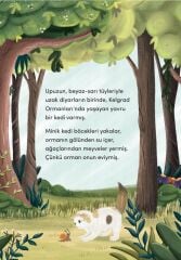 Ben Sokak Kedisi Miyim?