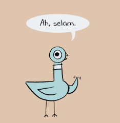 Güvercin Yavru Köpek İstiyor!