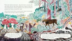 Green: The Story of Plant Life on Our Planet