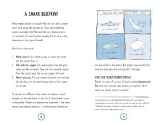 World According to Sharks