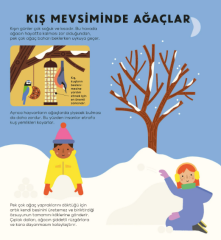 Ağaç Kitabı