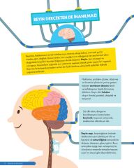 Neden Kendimizi Gıdıklayamayız?