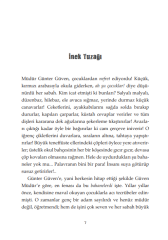 Çılgın Süpürge Şipşak