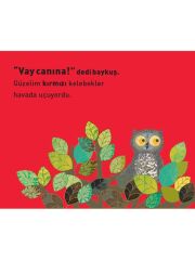 Vay Canına! Minik Baykuşun Renkli Günü