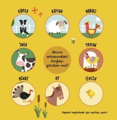 Büyük ve Küçük Hayvanlar