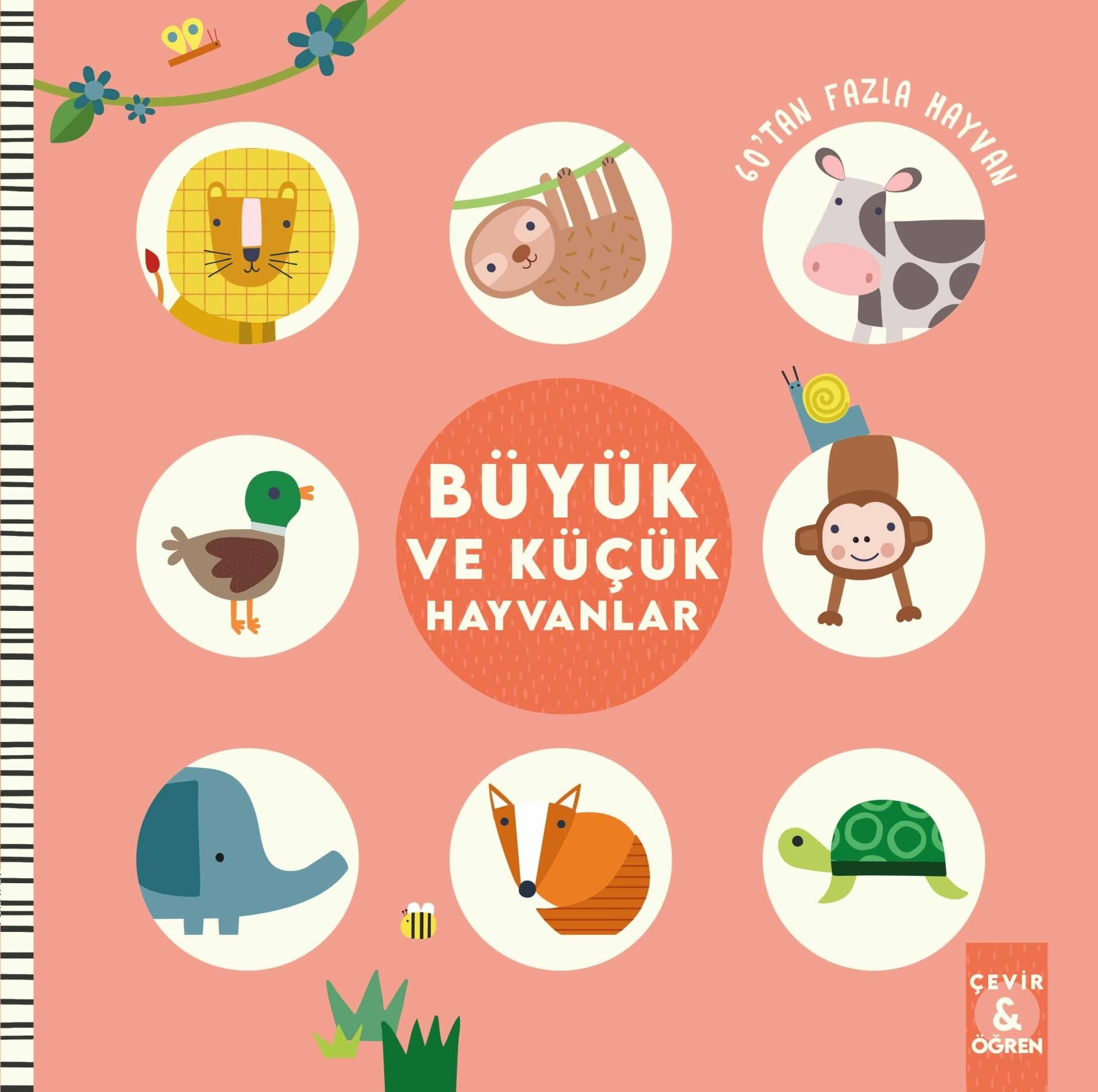 Büyük ve Küçük Hayvanlar