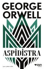 Aspidistra
