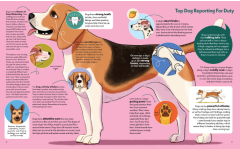 Dogs with Jobs