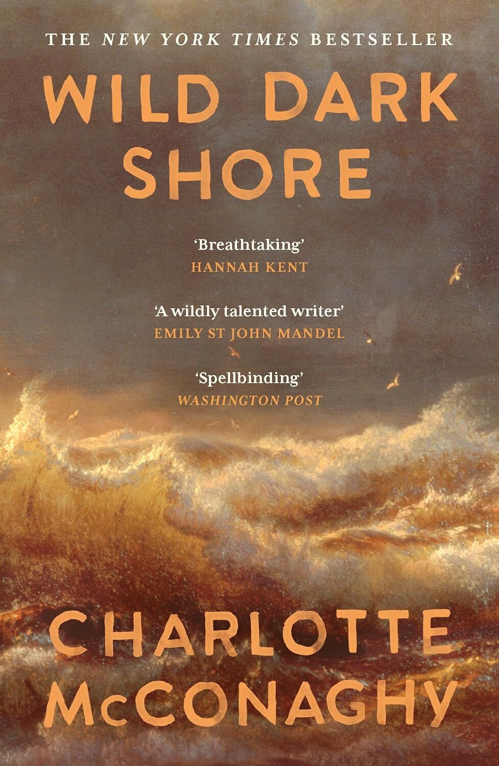 Wild Dark Shore