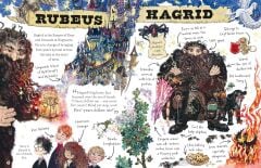 Pocket Potters: Hagrid
