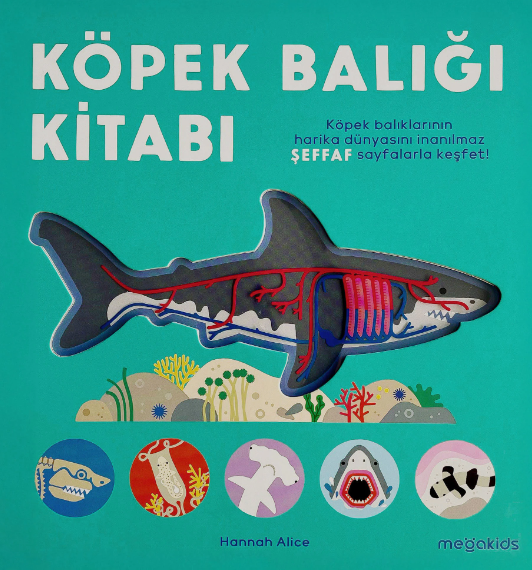 Köpek Balığı Kitabı