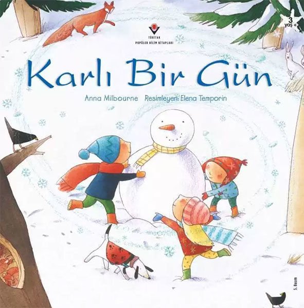 Karlı Bir Gün
