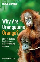 Why are Orangutans Orange?