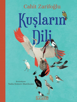 Kuşların Dili
