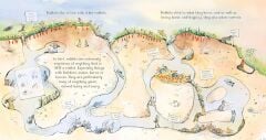 Beyond the Burrow