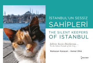 İstanbul’un Sessiz Sahipleri - The Silent Keepers of Istanbul