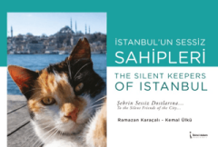 İstanbul’un Sessiz Sahipleri - The Silent Keepers of Istanbul