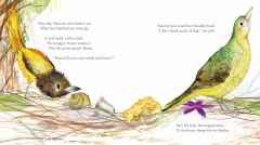 Bowerbird