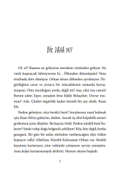 Zıpır Gizli Görev