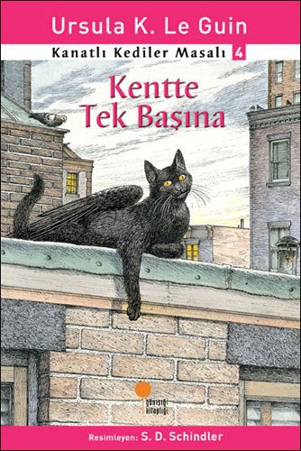 Kentte Tek Başına - Kanatlı Kediler Masalı 4