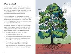 Ladybird Book: Trees