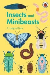 Ladybird Book: Insects and Minibeasts