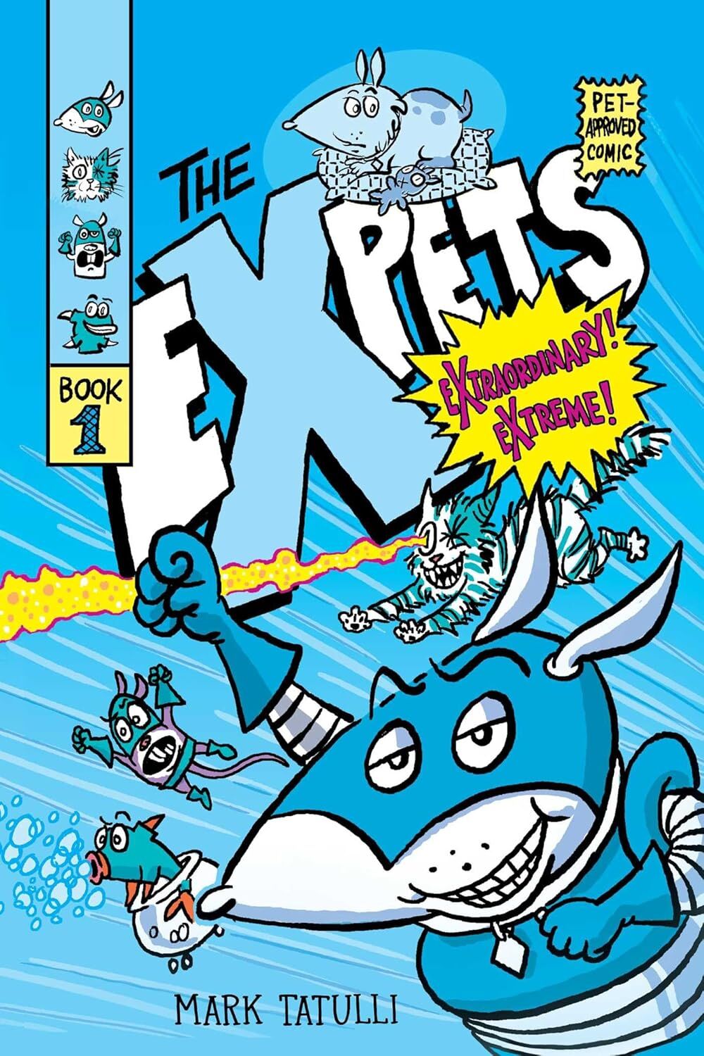 Expets 1