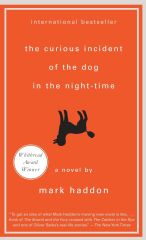 Curious Incident of the Dog in the Night-Time