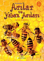 Arılar ve Yaban Arıları, İlk Okuma