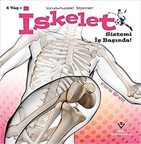 İskelet Sistemi İş Başında! - Vücudumuzdaki Sistemler