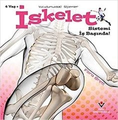 İskelet Sistemi İş Başında! - Vücudumuzdaki Sistemler