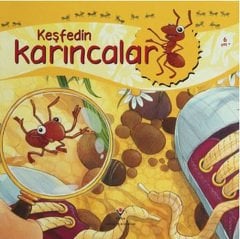 Keşfedin -Karıncalar
