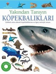 Köpekbalıkları - Yakından Tanıyın
