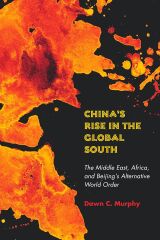 China's Rise in the Global South