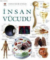 İnsan Vücudu