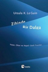 Zihinde Bir Dalga - Yazar, Okur ve Hayal Gücü Üzerine