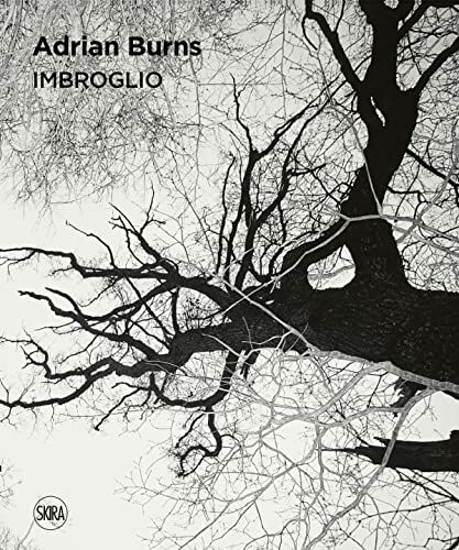 Adrian Burns: Imbroglio