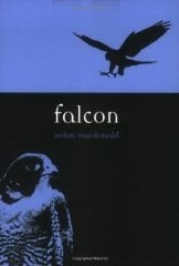 Falcon