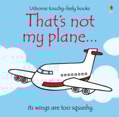 That's Not My Plane...