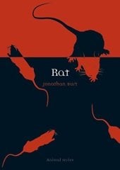 Rat