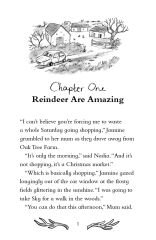 Reindeer Called Joy 17