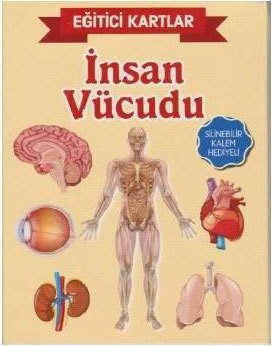 İnsan Vücüdu, Eğitici Kartlar