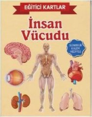 İnsan Vücüdu, Eğitici Kartlar