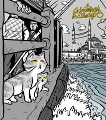 Cat Compound in Cihangir