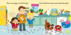 Busy Pets
