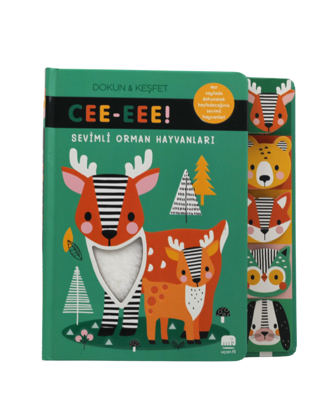 Sevimli Orman Hayvanları - Cee-eee! Dokun & Keşfet