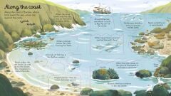 Seas and Oceans