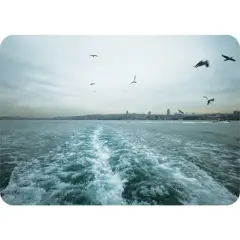 Arka Koltuk - Uğur Uğurlu