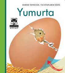 Yumurta