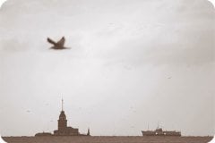 It's A Date - Onur Uygun